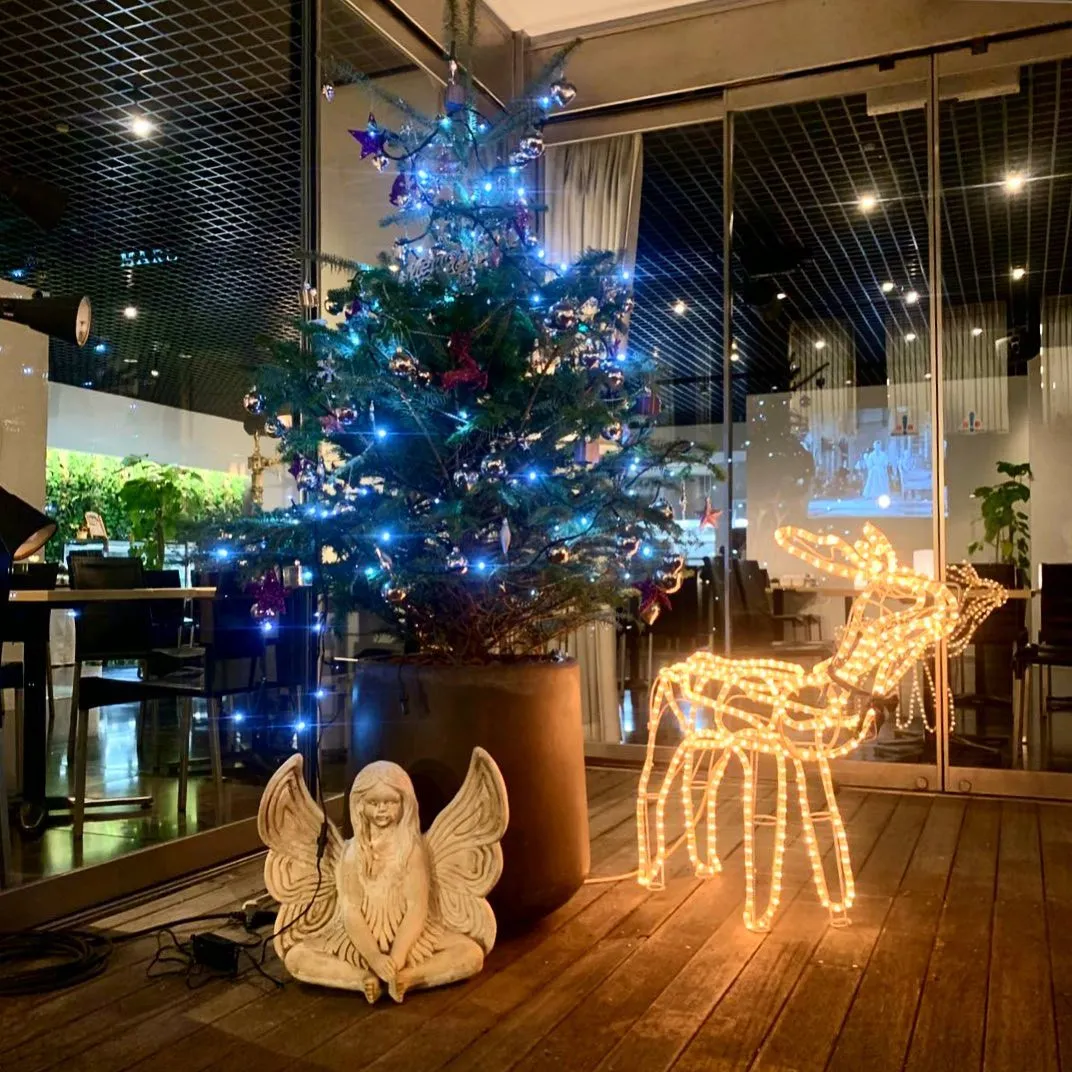 【もみの木のXmasツリー🎄】