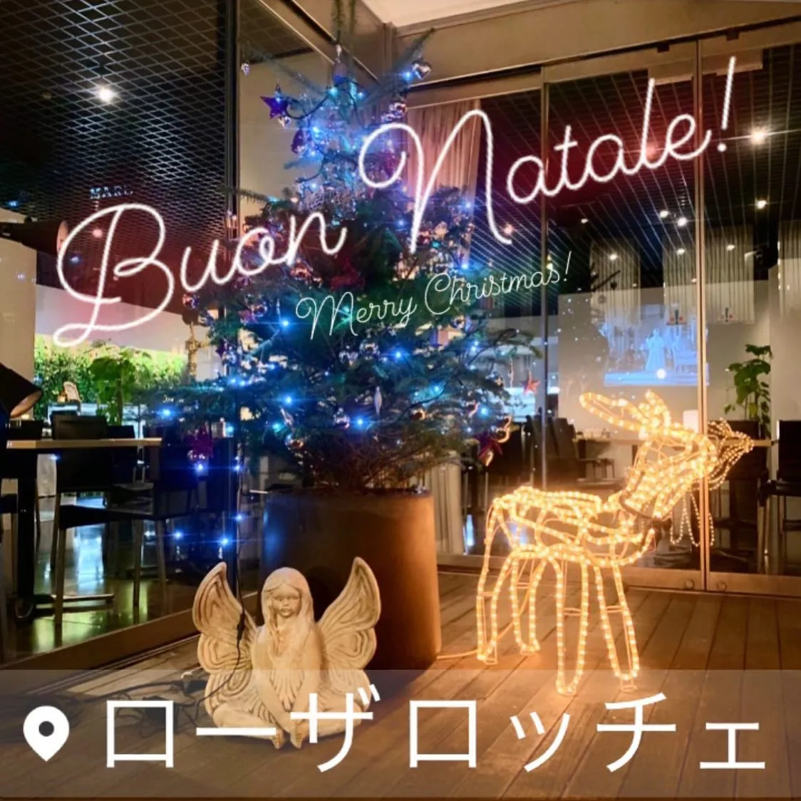 ✨🎄Merry Christmas! 🎄✨