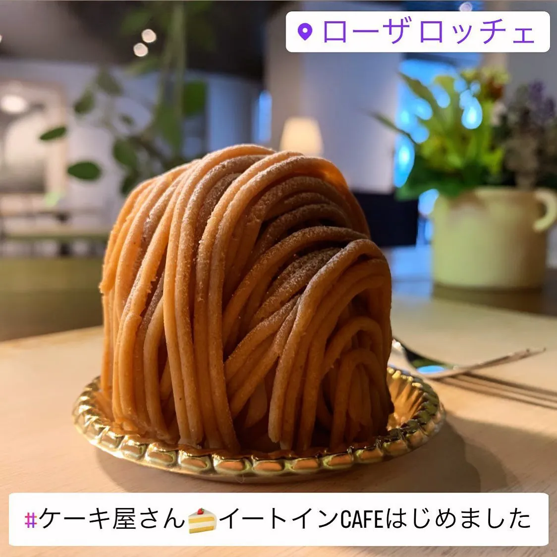 #ケーキ屋さん🍰イートインcafeはじめました