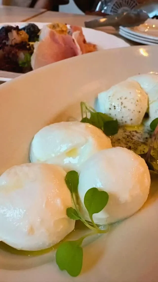 【ローザロッチェ㊗️20周年】